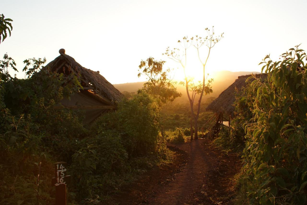 Crater Forest Tented Lodge Karatu Dış mekan fotoğraf